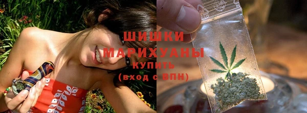 сатива Абдулино