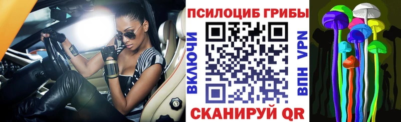Галлюциногенные грибы мицелий hydra ссылка Александровск